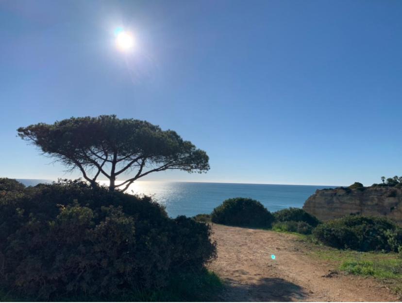 A Beira Do Vale, Carvoeiro Bed & Breakfast Карвоейро Екстериор снимка